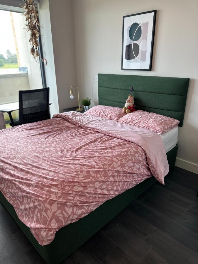 Private Ensuite Room Dublin Buitenkant foto